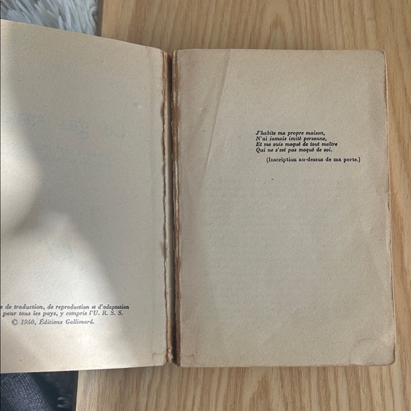 Nietzsche 'Le Gai Savoir' Book, French original of The Gay Science - Picture 5 of 9